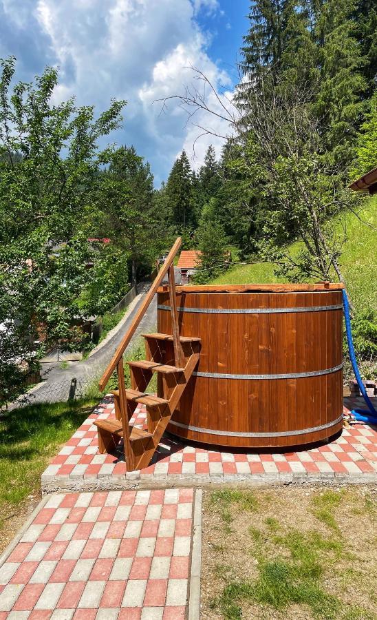 Casa De Vacanta Chesa 보르섹 외부 사진